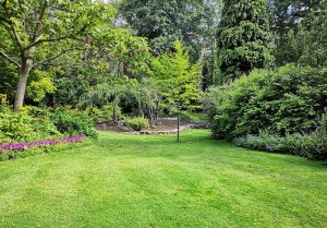Optimiser l'expérience du jardin à Poursay-Garnaud